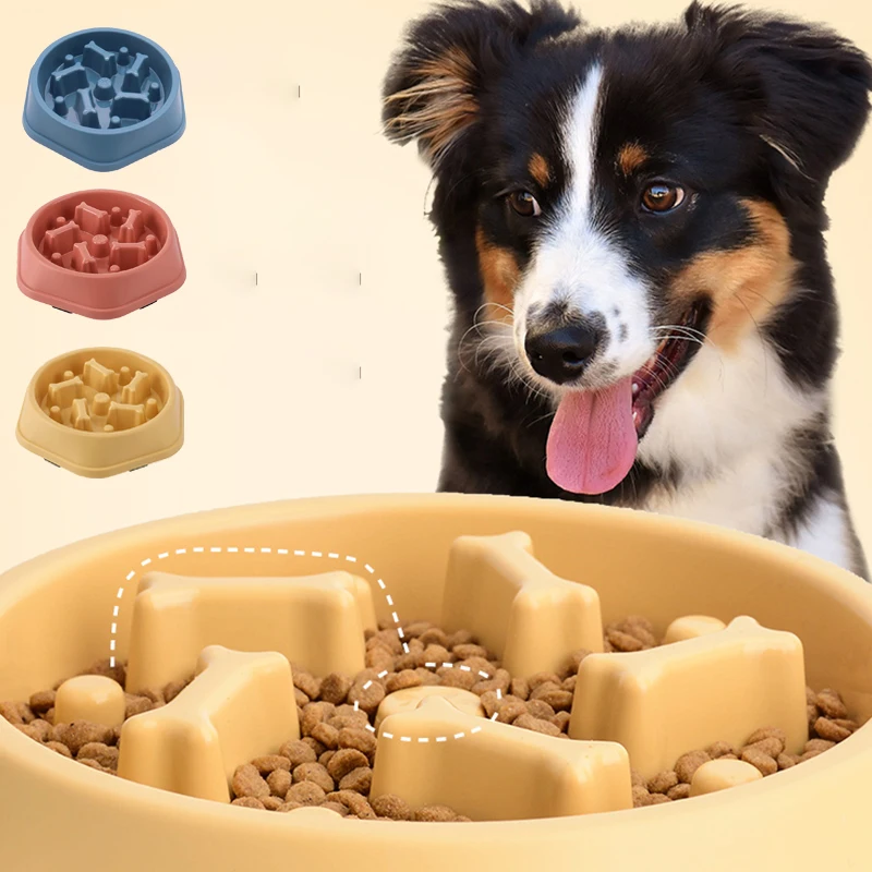Slow Feeder Dog Bowl Non Slip  - Royal Canin Food Medium review and price